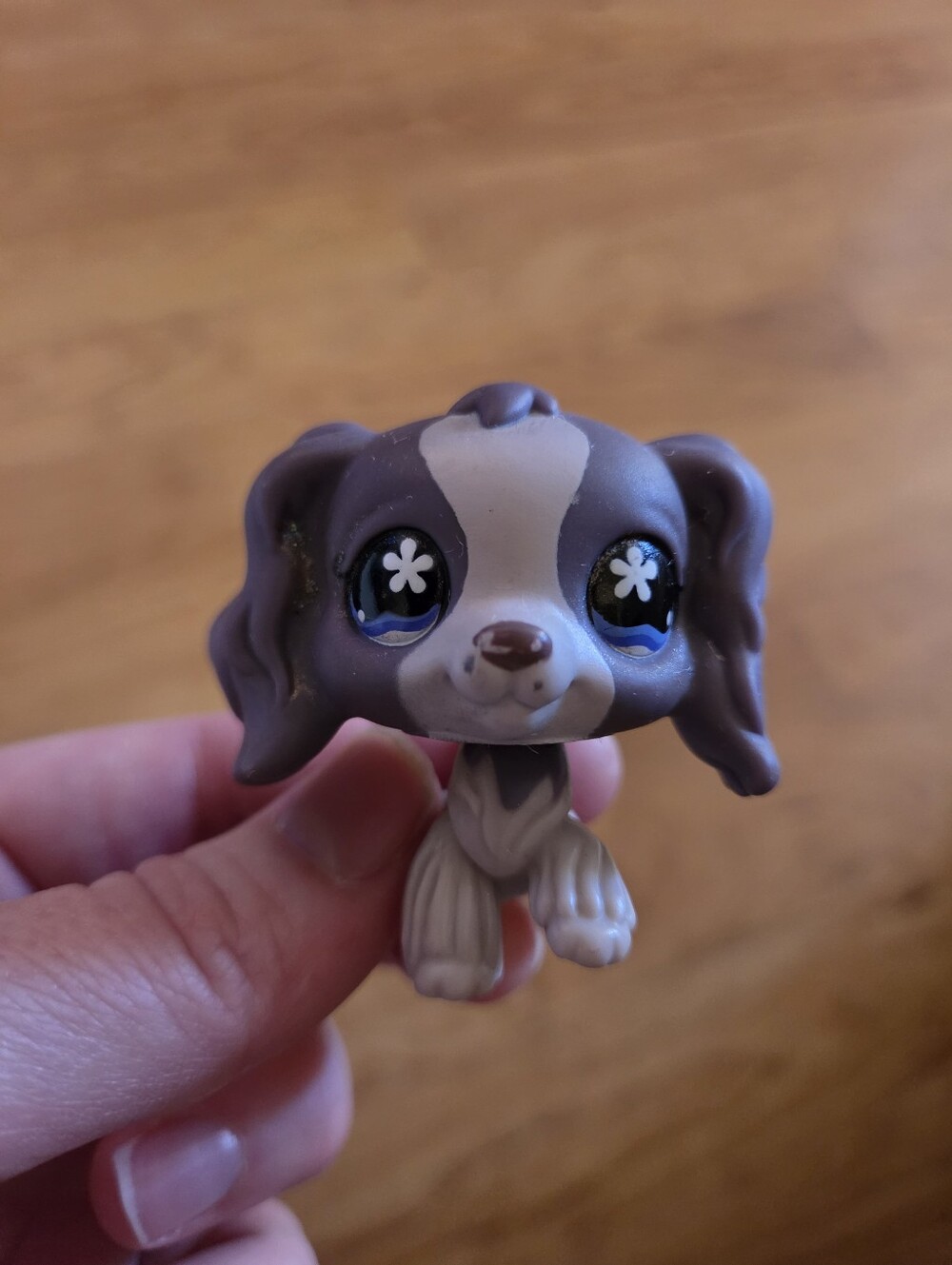 Littlest Pet Shop LPS Cocker Spaniel #672 Purple Blue Flower Eyes Authentic